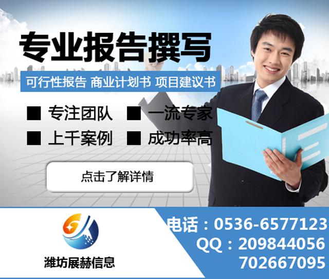 代寫融資計劃書,代寫商業計劃書，代寫可行性報告，代寫政府立項報告