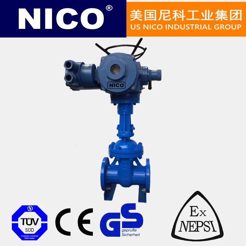 進(jìn)口鋼制電動楔式閘閥