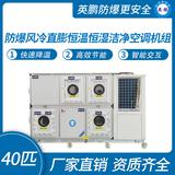 防爆風(fēng)冷直膨恒溫恒濕潔凈空調(diào)機(jī)組